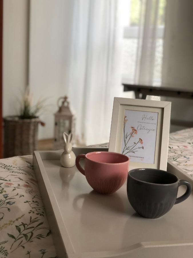 Pokoje Agroturystyczne U Hani Ostrzyce Kültér fotó